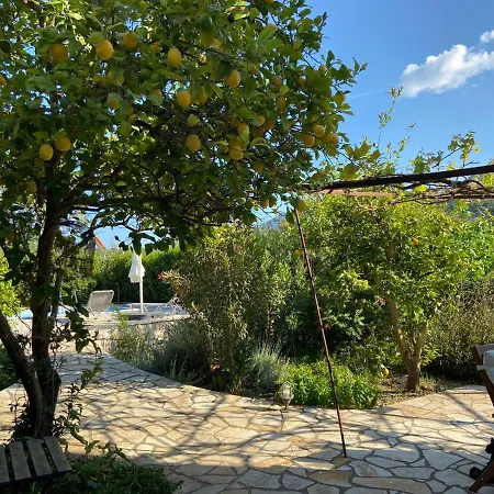 Metropolis וילה *