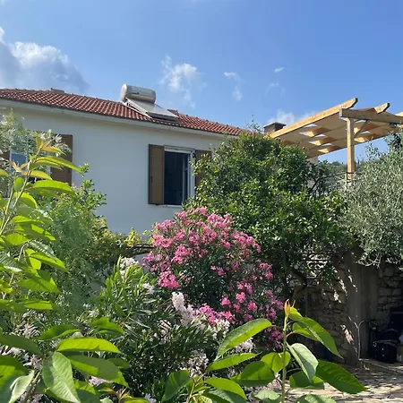 Metropolis * ואטי